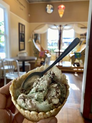 Arcata Scoop by null