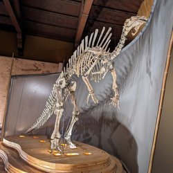 Musei Civici - Museo di Storia Naturale - June 20, 2023.