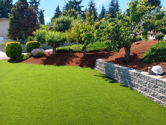 Carrillo's Landscaping - Carrillo's Landscaping