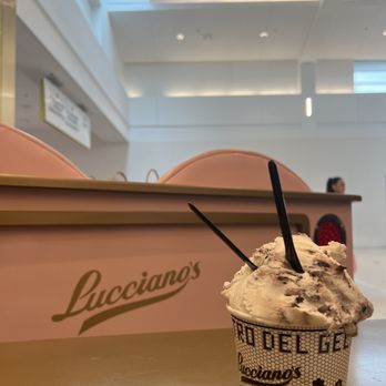 Lucciano's - Large cup with Caramelized Almond and Cookies & Cream - Gelato Near Me - Orlando, Florida