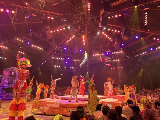 Festival of the Lion King by null