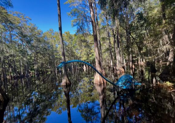 Tallahassee Museum by null
