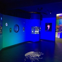 Music De-Lite - DJ/MC and Lighting services at Point Defiance Zoo in Tacoma