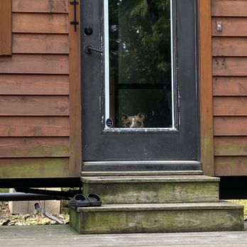A Tiny House Resort - Resorts Near Me - South Cairo, New York A Tiny House Resort - Resorts Near Me - South Cairo, New York
