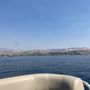 Photo of Modern Boat Rental