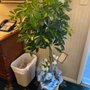 Photo of Holeton-Yuhasz Funeral Home