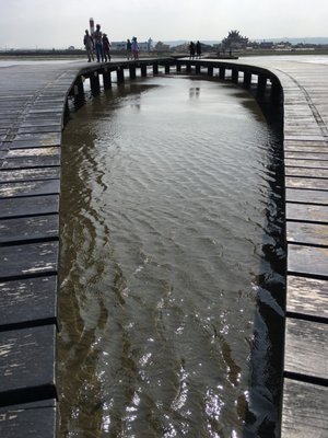 Gaomei Wetlands by null