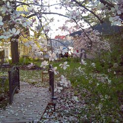 Classic Victorian Estate Inn - Springtime at Classic Victorian Estate INN