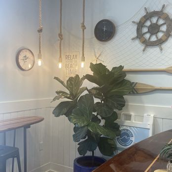 Shark Bowls and Bites - Acai Bowls Near Me - Mount Pleasant, South Carolina Shark Bowls and Bites - Acai Bowls Near Me - Mount Pleasant, South Carolina