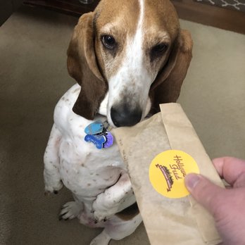 Hollywood Feed - Leopold with the extra treat that came with today's delivery! - Pet Stores Near Me - Alpharetta, Georgia Hollywood Feed - Leopold with the extra treat that came with today's delivery! - Pet Stores Near Me - Alpharetta, Georgia