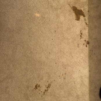 Deep Steam Carpet Cleaning - Before - Carpet Cleaning Near Me Deep Steam Carpet Cleaning - Before - Carpet Cleaning Near Me