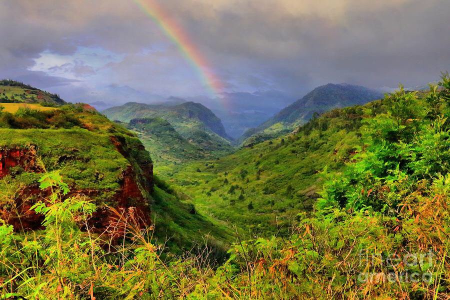 Phyllis Walters-Kemp, PhD NCSP - grief counselor in Bonita Springs, FL