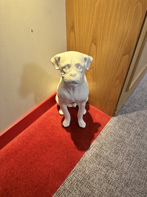 Virgin Hotels Chicago by null