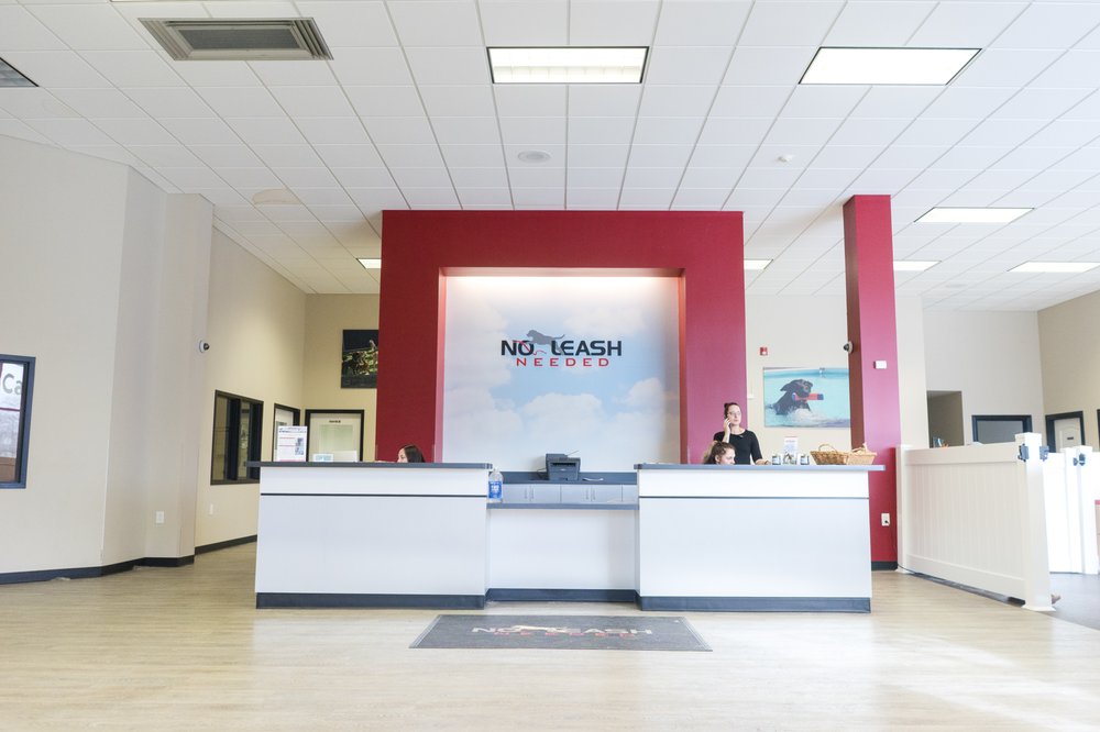 No Leash Needed - pet boarding facility in St. Charles, MO