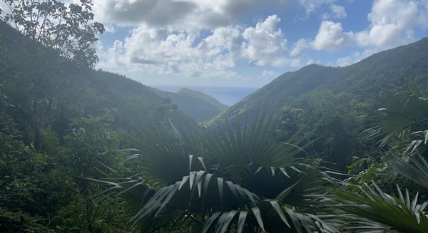 Virgin Islands National Park by null