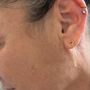 The Black Rose Tattoo and Piercing