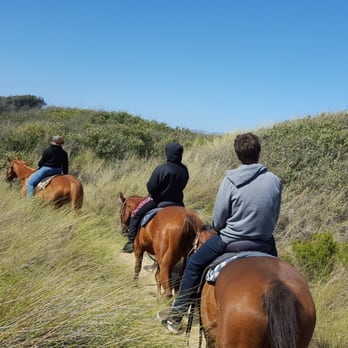 Pacific Dunes Riding Ranch - Horseback Riding Near Me - Oceano, California
