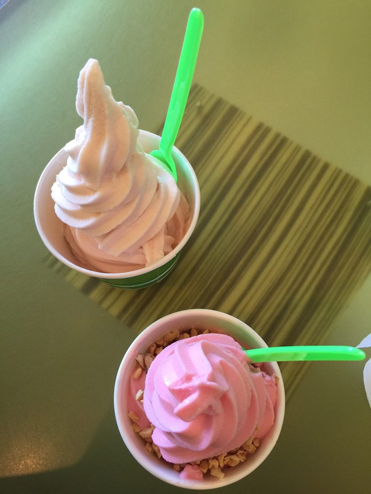BLUSH ORGANIC FROZEN YOGURT CLOSED 85 Photos & 123 Reviews 1345