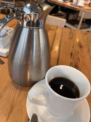 The Fig & The Judge by null