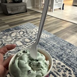 Gluten and dairy free mint chocolate chip Gluten and dairy free mint chocolate chip
