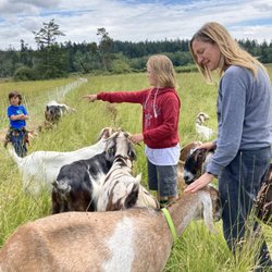 Lum Farm - Farm tours are available if you'd like an hour-long introduction to island agriculture (that includes lots of critters!)
