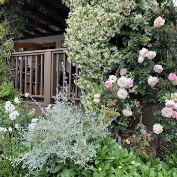 Thyme In The Ranch - Outdoor - Breakfast & Brunch Near Me - Rancho Santa Fe, California Thyme In The Ranch - Outdoor - Breakfast & Brunch Near Me - Rancho Santa Fe, California
