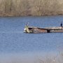 Photo of Northeimer Seenplatte