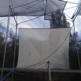 Trapeze Trapeze