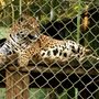 Parque Zoobotânico de Brusque