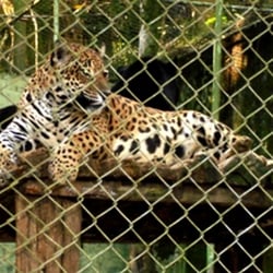 Parque Zoobotânico de Brusque