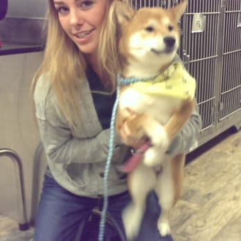 Dog's Day Inn Pet Resort - Pet Training Near Me - Katy, Texas