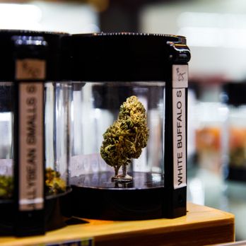 Green Earth Co. - Green Earth Co. Weed Dispensary - Cannabis Dispensaries Near Me - Los Angeles, California Green Earth Co. - Green Earth Co. Weed Dispensary - Cannabis Dispensaries Near Me - Los Angeles, California