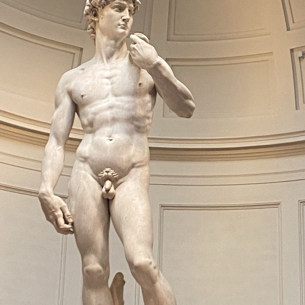 Galleria dell'Accademia - Famous David statue, must see in person to appreciate details - Museums Near Me - Florence, FI
