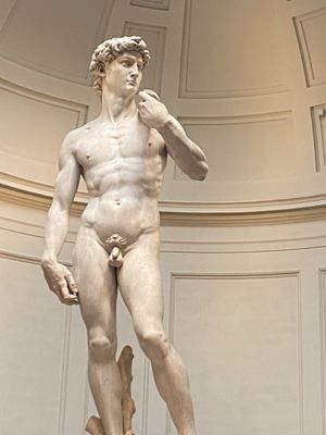 Galleria dell’Accademia di Firenze by null