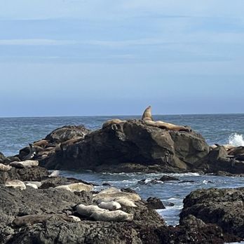 Cape Mendocino Lighthouse - Seals - Landmarks & Historical Buildings Near Me - Whitethorn, California
