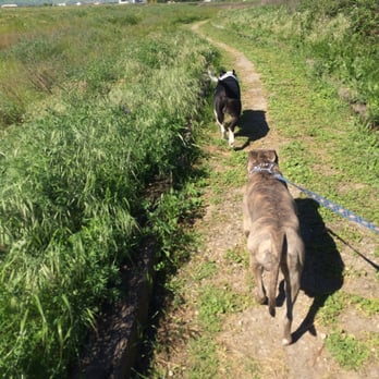 Antioch Marina - Panda and Goji hitting up the Marina Trail Loop! - Marinas Near Me - Antioch, California