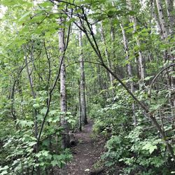 MacTaggart Sanctuary