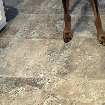 A Step Above - After - Carpet Cleaning Near Me - Citrus Heights, California A Step Above - After - Carpet Cleaning Near Me - Citrus Heights, California