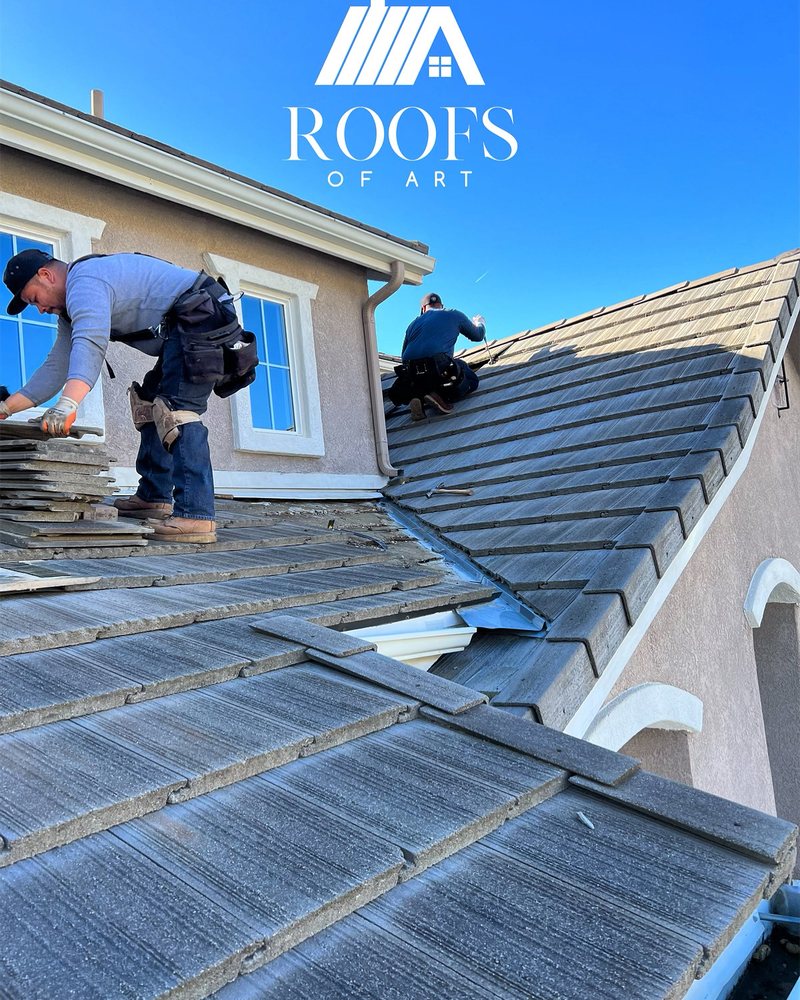 Slide of Roofs of Art