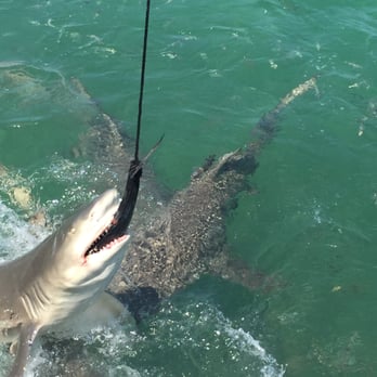 Key West Extreme Adventures - Lemon Shark - Boating Near Me - Key West, Florida