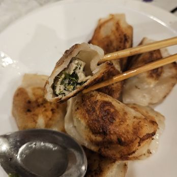 Northern Dumpling King - Chinese Near Me - Flushing, New York