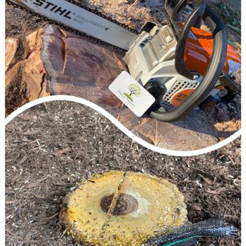 Majestic Frontiers - Small tree / Bush removal - Landscaping Near Me Majestic Frontiers - Small tree / Bush removal - Landscaping Near Me