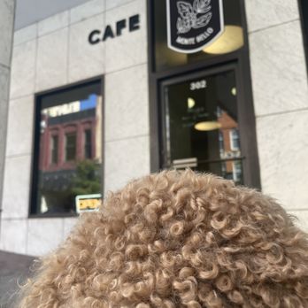 Cafe Monte Bello - Dog's-eye view of the pet friendly outdoor seating. - Coffee & Tea Near Me - Lynchburg, Virginia Cafe Monte Bello - Dog's-eye view of the pet friendly outdoor seating. - Coffee & Tea Near Me - Lynchburg, Virginia