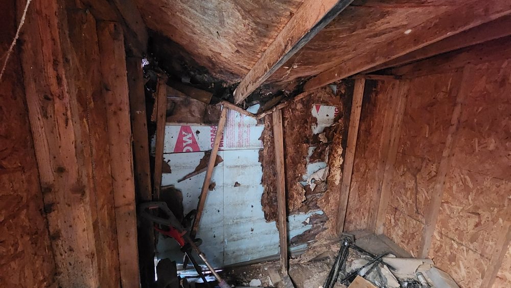 Slide of Memaw's Boys