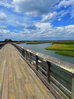Pitt Street Bridge by null