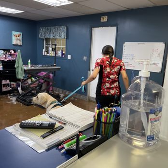 Upland Pet Grooming - Grooming Time! - Pet Groomers Near Me - Upland, California Upland Pet Grooming - Grooming Time! - Pet Groomers Near Me - Upland, California