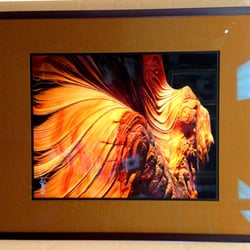 Framed To Perfection