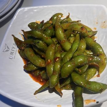 Umiya Sushi - Sushi Bars Near Me - Houston, Texas Umiya Sushi - Sushi Bars Near Me - Houston, Texas