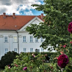 Schloss Hohenzieritz - Schloss Hohenzieritz, Parkseite