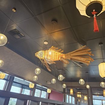 East Blue Sushi - Sushi Bars Near Me - San Antonio, Texas East Blue Sushi - Sushi Bars Near Me - San Antonio, Texas
